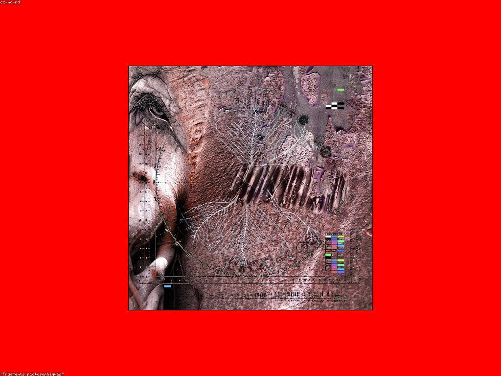 ស្លតថ្មីៗ: ការច្នៃប្រឌិតថ្មីៗនៅក្នុងពិភពភាសា