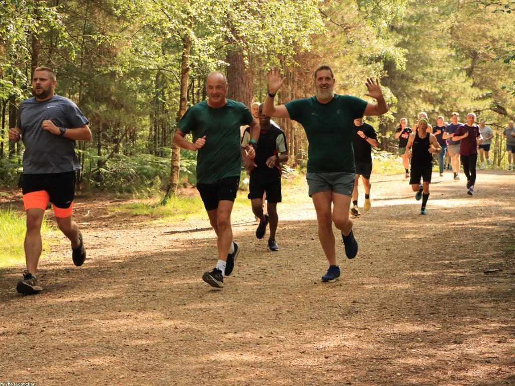 ការលេងឥឡូវនេះ: អ្វីដែលអ្នកត្រូវដឹង